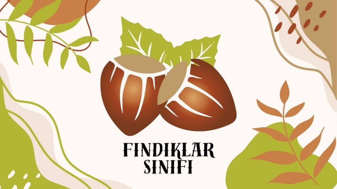 FINDIKLAR SINIFINDA 3.HAFTAMIZI GERİDE BIRAKTIK