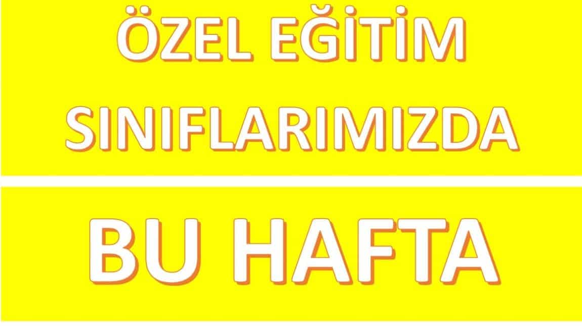 NELER YAPTIK NELER